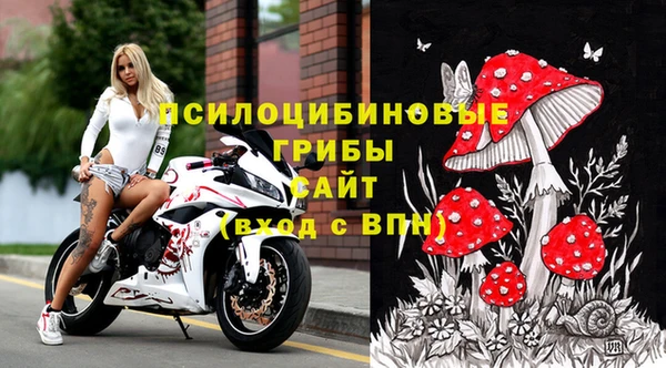 прущая мука Армянск